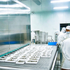 IQF Freezers