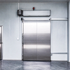 Stainless Steel Electric Sliding Door