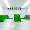 Freezer Room